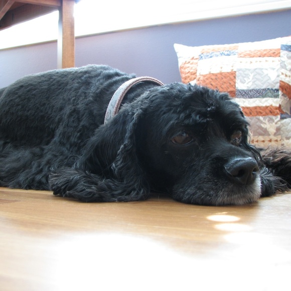 Meet your Posher, Heather - Picture 2 of 5